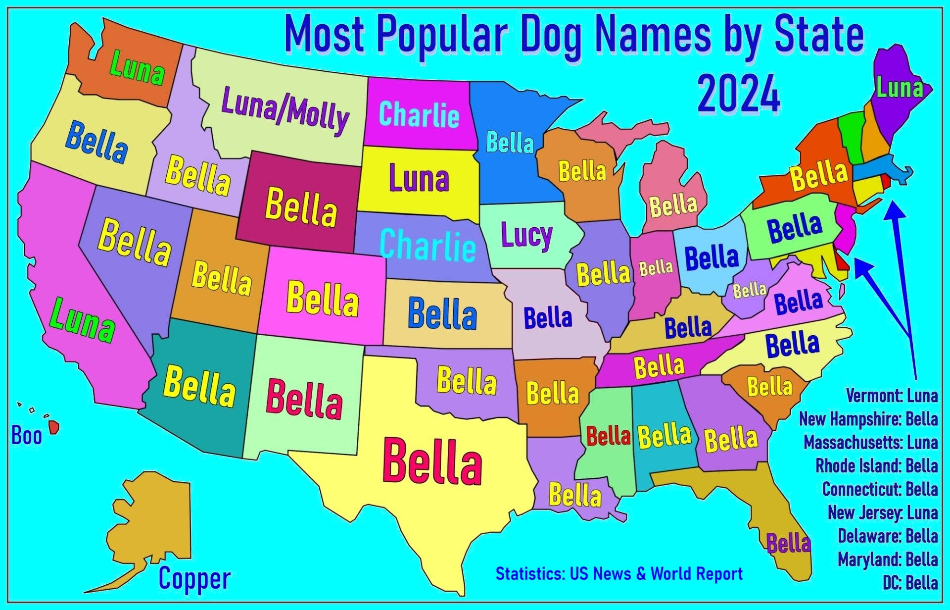 Most Popular Dog Names By State For 2024 Parade Pets Most Popular Dog Names By State For 2024 Parade Pets